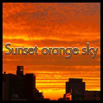 Sunset orange sky ジャケット