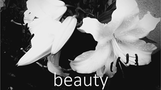 beauty(Vocal Extended Mix) ジャケット